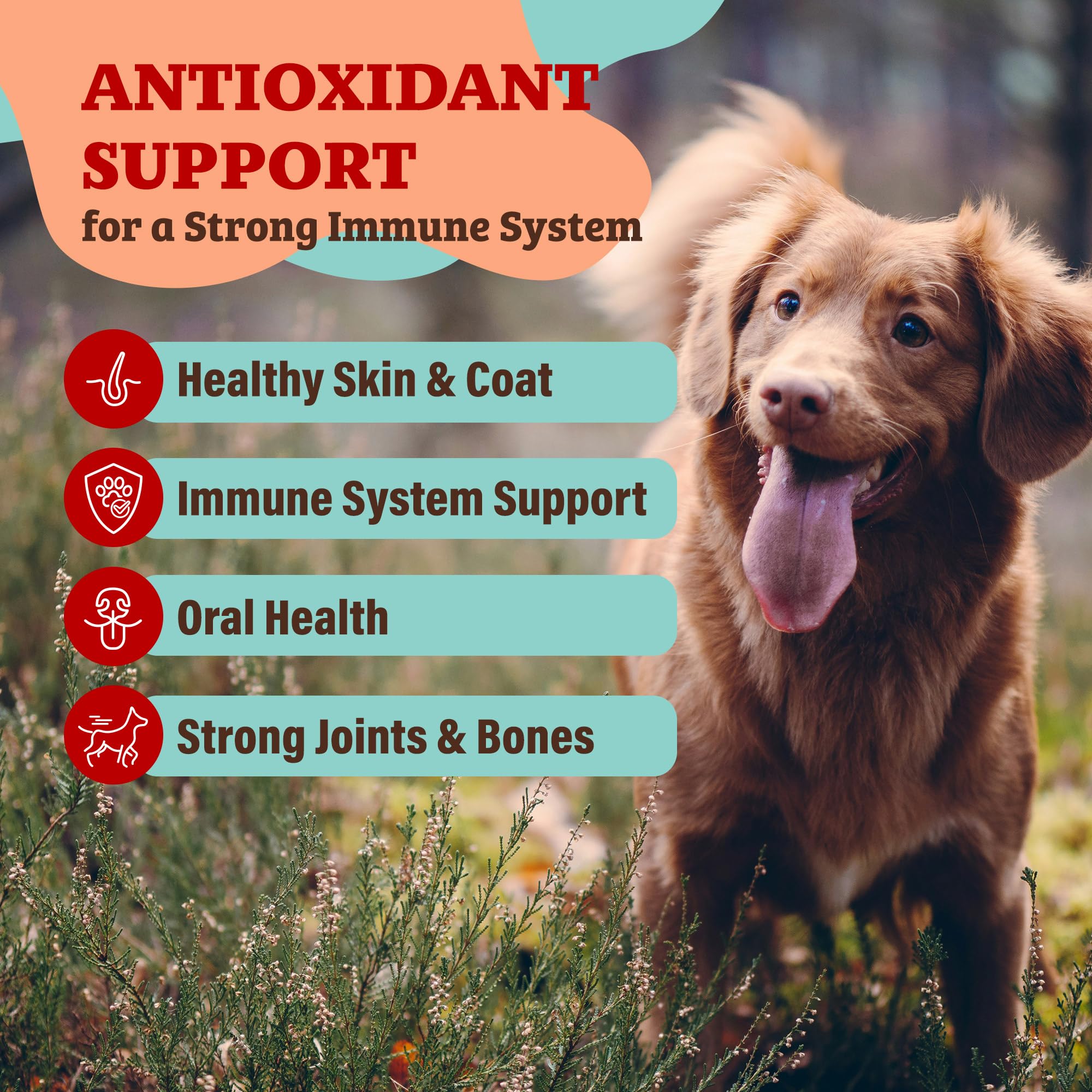 Natural Dog Company Skin & Coat Health Bundle with Omega-3, DHA, and Antioxidants for Dogs, Supports Healthy Skin, Shiny Coat, and Overall Wellness Ideal for Dry Skin Relief & Enhancing Dog Coat Shine