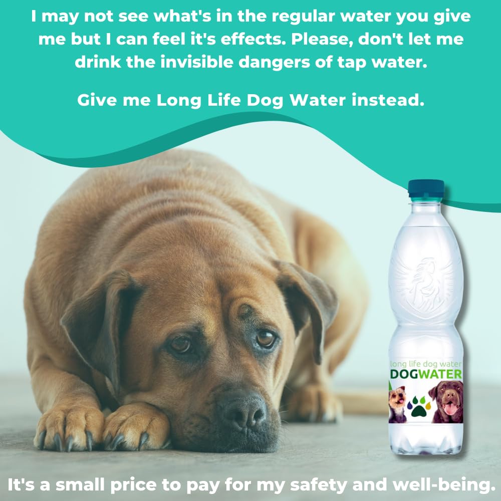 Long Life Dog Water - Natural Spring Water for Dogs, pH-Balanced Dog Water, Helps with Electrolytes for Dogs & Improve Dog Hydration, Mineral-Free - 16.9 oz 6-Pack with Free Cooling Dog Bowl 32oz