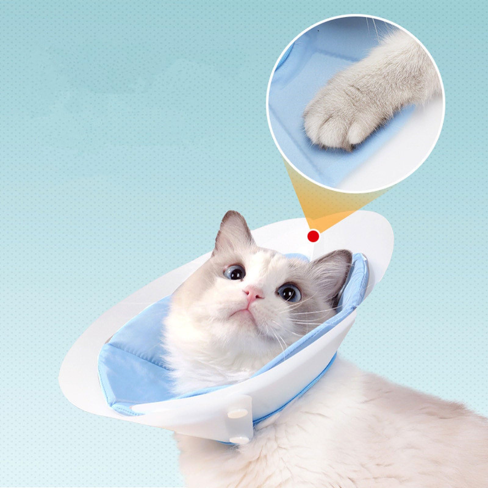 PASNMKvn Lightweight Recovery Cone for Pets Kitten Small Large Dogs Recovery Collar Cone Neck Collar Double Layer