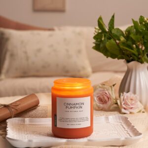 M&SENSE Cinnamon Pumpkin Scented Fall Candles, Double Wick Large Soy Natural Candles 19.4oz 110 Hours Long Lasting Slow Burning, Halloween Autumn Candle Gift Home Decor MSS603L07