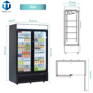 WESTLAKE 48" W Merchandiser Commercial Display Refrigerator 2 Glass Door 2 Section Reach-in Glass Door Upright Fan Cooling 36 Cu.ft Cooler for Restaurant, Bar, Shop, etc