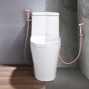 ZQLOEINC Toilet Bidet Spray, Hand-held, pet Bathing Appliance Toilet Bidet Spray, Hose and Brass Valve are Made 304 Stainless Steel (Delivered in 3-8 Days)