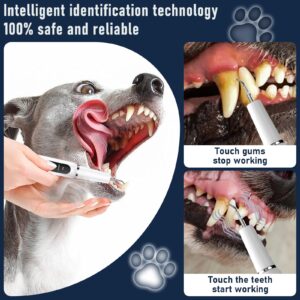 Plaque and Tartar Remover for Dogs and Cats, Pet Dental Scaler with LED Light, Electric Dog Teeth Cleaning Tools 3 Cleaning Mode, Easy to Use and Safe,Black