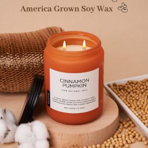 M&SENSE Cinnamon Pumpkin Scented Fall Candles, Double Wick Large Soy Natural Candles 19.4oz 110 Hours Long Lasting Slow Burning, Halloween Autumn Candle Gift Home Decor MSS603L07