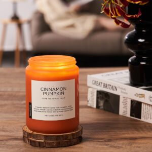 M&SENSE Cinnamon Pumpkin Scented Fall Candles, Double Wick Large Soy Natural Candles 19.4oz 110 Hours Long Lasting Slow Burning, Halloween Autumn Candle Gift Home Decor MSS603L07