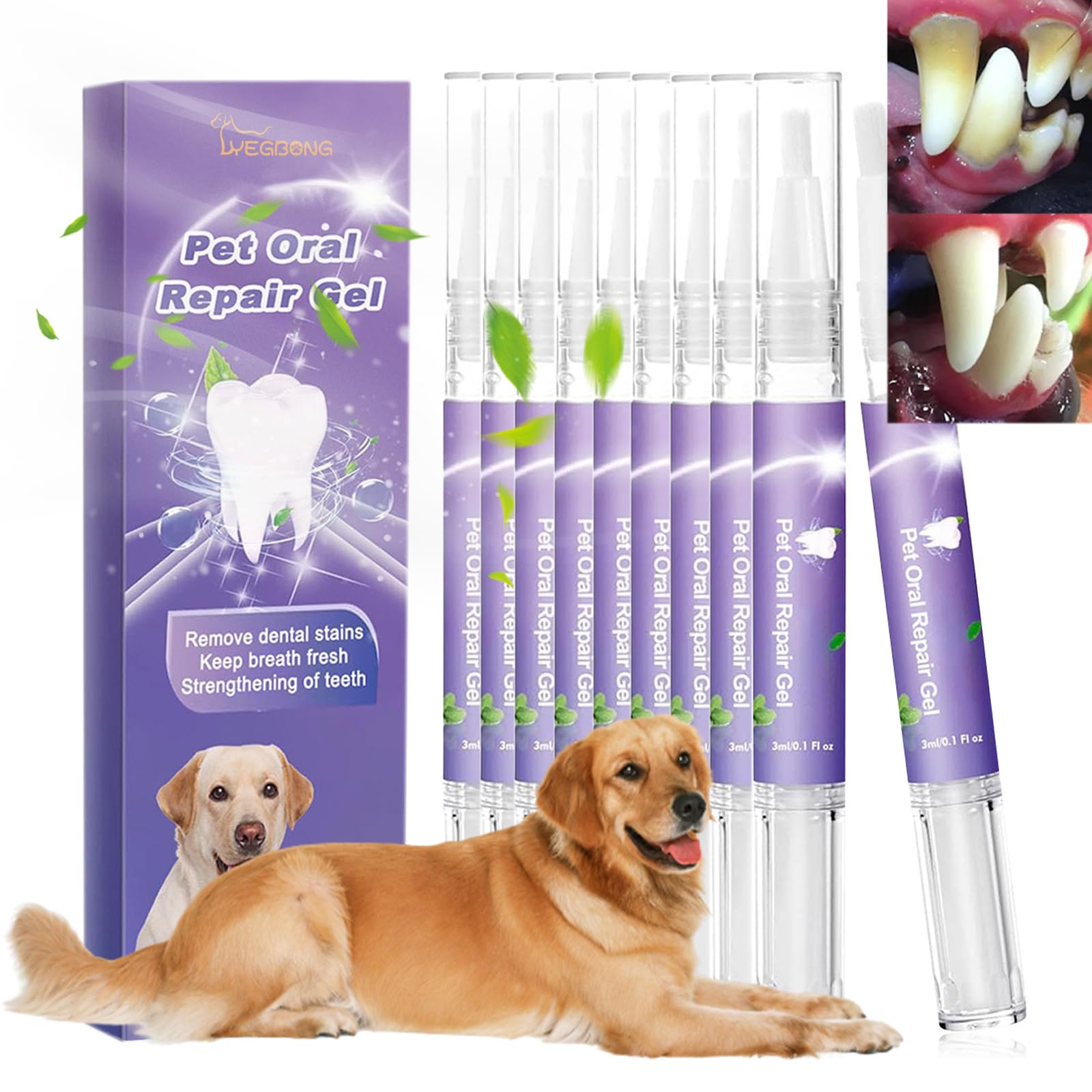 Lettuce Pets Toothbrush, Pet Oral Repair Gel, 8 Pack pet Oral Repair Gel, Pet Oral Care Gel, Pet Oral Restoration White Gel, Pet Teeth Repairing, Pet Oral Restorative Gel for Dogs & Cats (10)