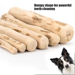 Wooden Dog Chews, Coffee Tree Dog Chews, Wooden Bones for Big Dogs, Wooden Chew Toys for Dogs - Dental Cleaning Stress Relief Toys (10.2in)