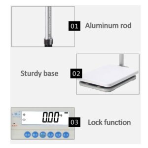 Digital Health Scale with Height Rod, Electronic Height and Weight Physician Scale Capacity,200kg Capacity