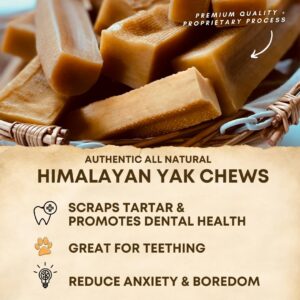 Back 40 Dogs Himalayan Yak Cheese Dog Chews – Long-Lasting Natural Chews for Aggressive Chewers – 2-Ingredient, High Protein, Odorless, Dental Health Treats for Dogs (Large, 4 Pack)