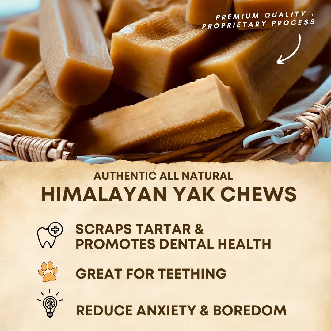 Back 40 Dogs Himalayan Yak Cheese Dog Chews – Long-Lasting Natural Chews for Aggressive Chewers – 2-Ingredient, High Protein, Odorless, Dental Health Treats for Dogs (Large, 4 Pack)