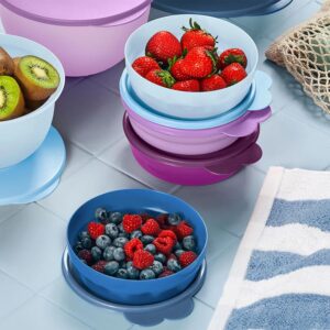 Tupperware Microwave Reheatable Cereal Bowls Set - Dishwasher Safe & BPA Free - (4 Bowls + 4 Lids)