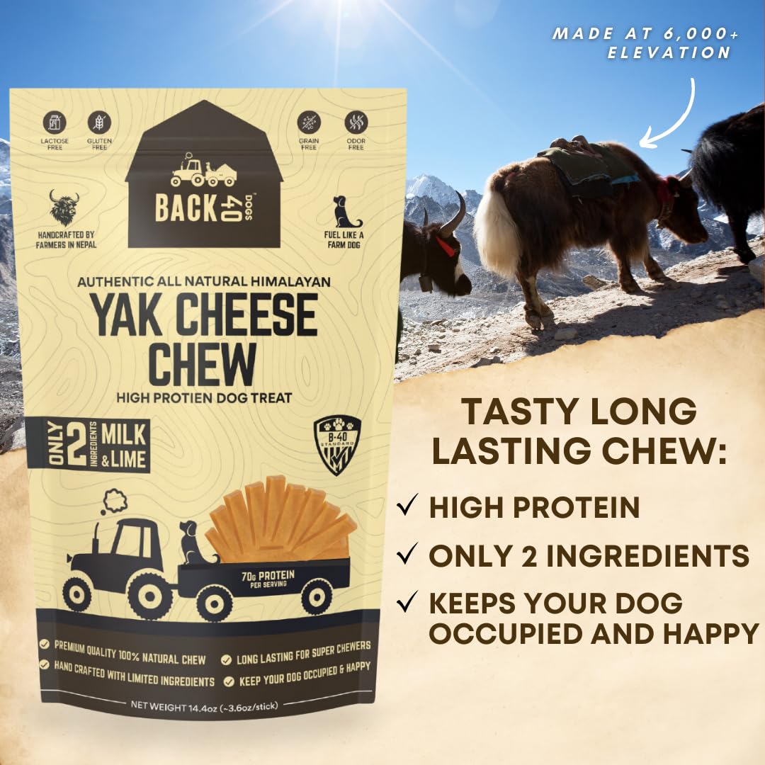 Back 40 Dogs Himalayan Yak Cheese Dog Chews – Long-Lasting Natural Chews for Aggressive Chewers – 2-Ingredient, High Protein, Odorless, Dental Health Treats for Dogs (Large, 4 Pack)