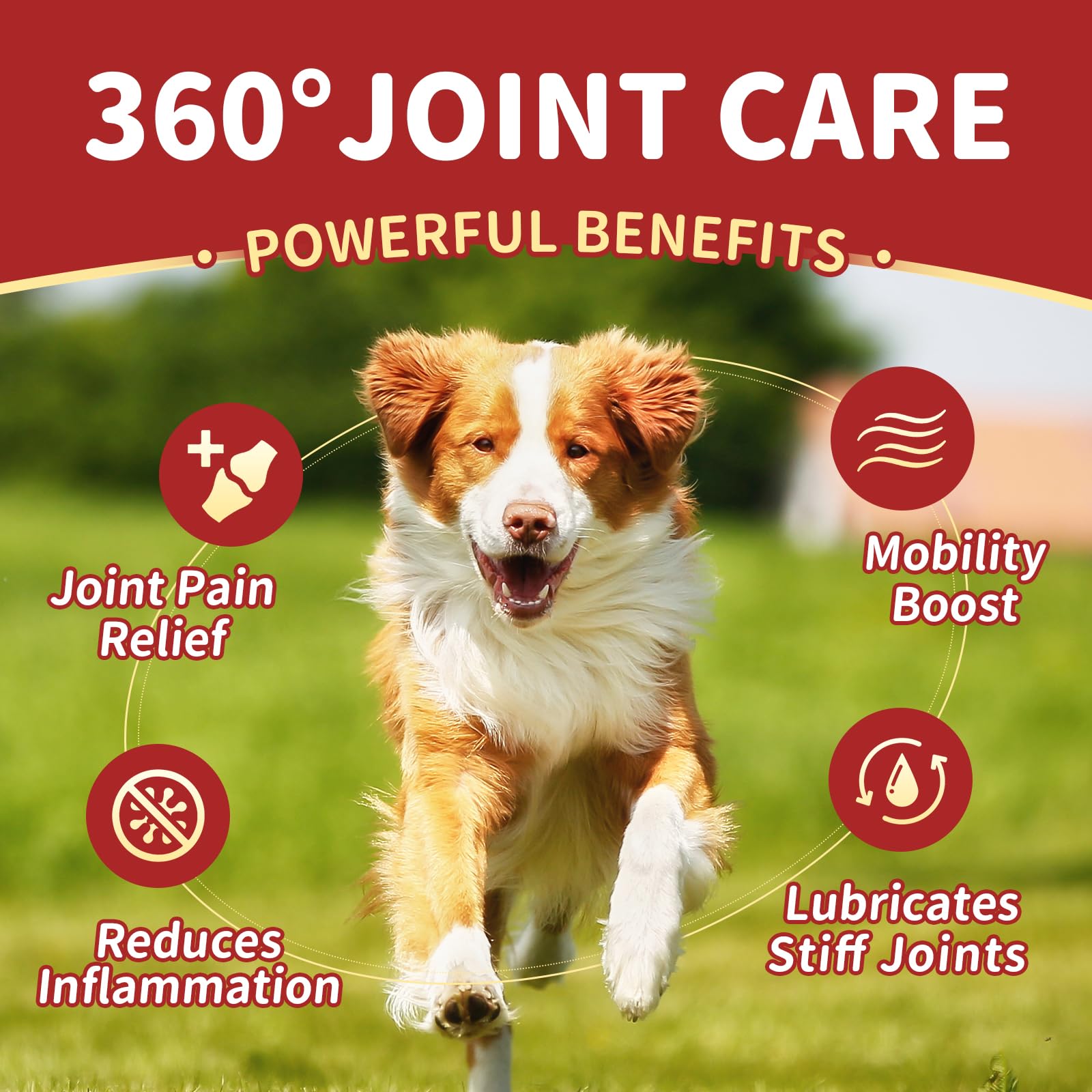 Glucosamine for Dogs, Probiotics for Dogs 180 Bites