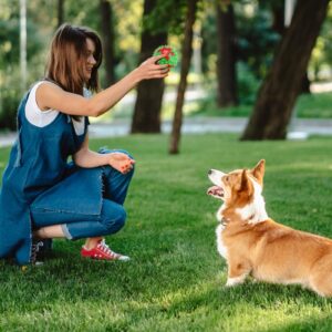 GUGUMAO Dog Toys,Interactive Dog Toys for Boredom Teething Toys for Aggressive Chewers Durable Indestructible Chew Toys for Small/Medium/Large Breeds Snowflake Bone Pattern (Green, Bone)