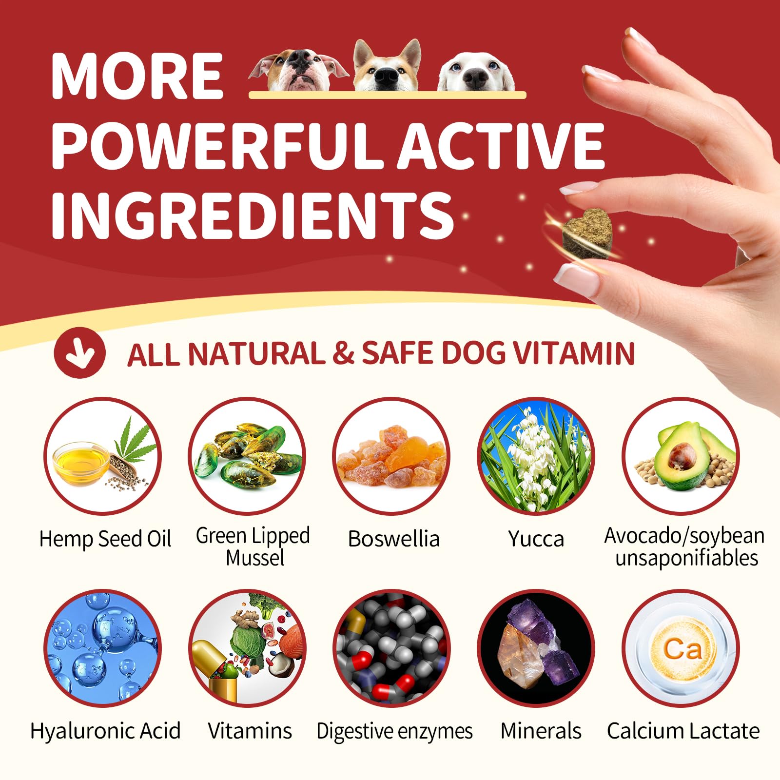 Glucosamine for Dogs, Probiotics for Dogs 180 Bites