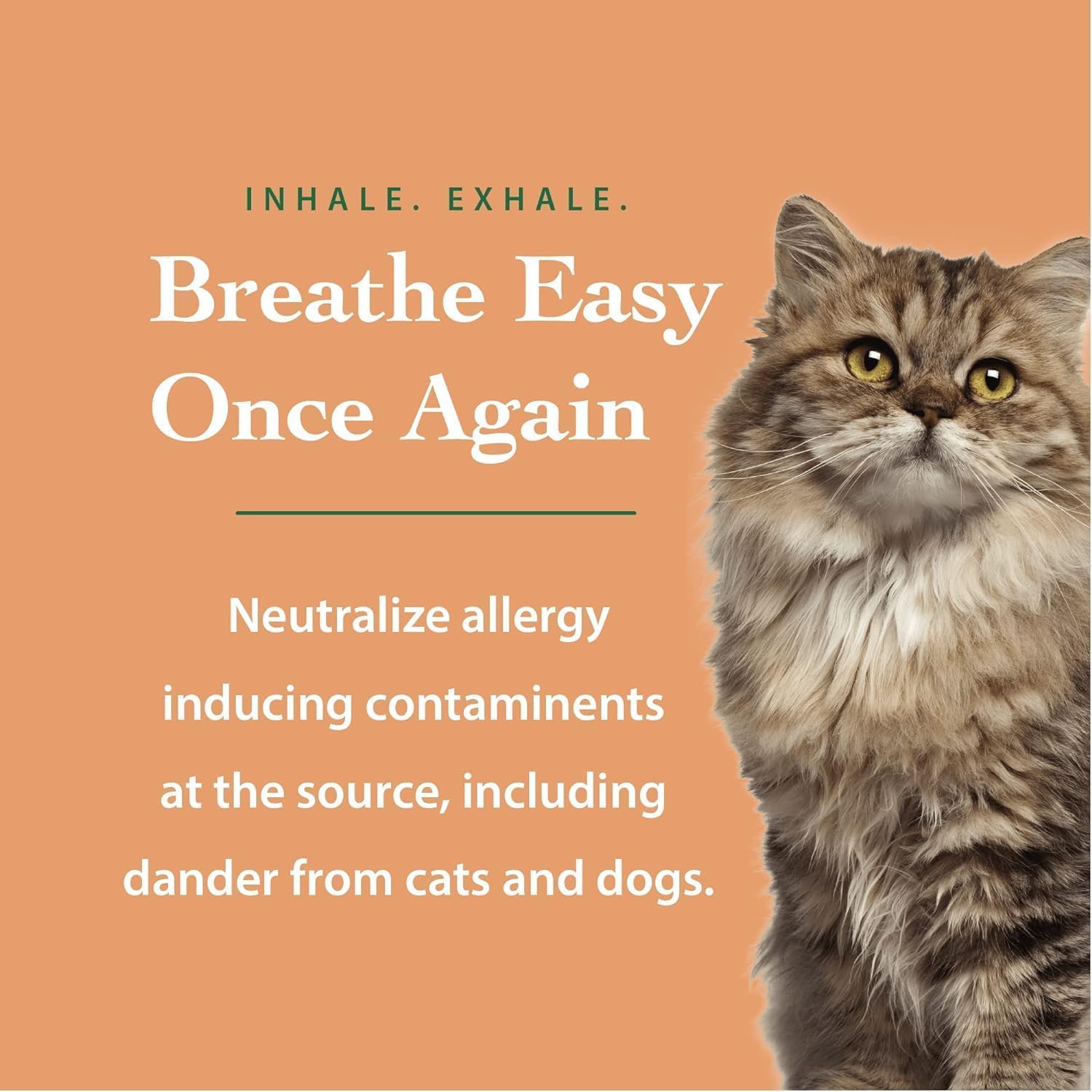 The Ecology Works- Travel Size| Plant-Based Dog & Cat Allergy Spray, Dander Remover & Dust Mite Waste Reducer for Relief from Allergies - Cleans Bedding & Furniture Naturally, Fragrance-Free