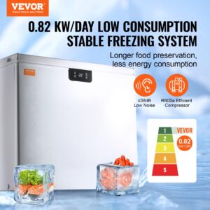 VEVOR Chest Freezer, 10 Cu.ft Compact Deep Freezer, Free Standing Top Open Door Compact Freezers with 2 Removable Baskets & Adjustable Thermostat, Energy Saving & Low Noise, White