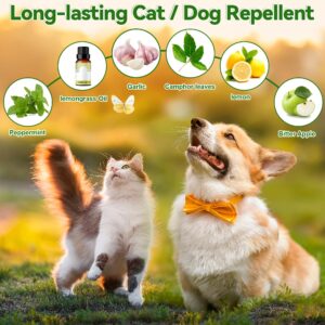 12 Pack Cat and Dog Repellent Balls - Natural Peppermint Oil Cat Deterrent for Indoor/Outdoor Use, Keeps Stray Cats Digging Dogs Away from Yard, Lawn, Garden, and Furniture - Safe for Pets and Family