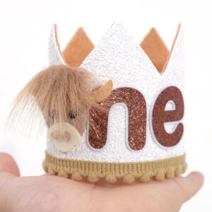 WUTKYAX Cow 1st Birthday Crown,Holy Cow I’m One,Farm Birthday,Cow 1st Birthday Crown for Girls,Holy Cow Western Cowgirl First Birthday Decoration and Decor,Western Cowboy Birthday Hat,Photo Props