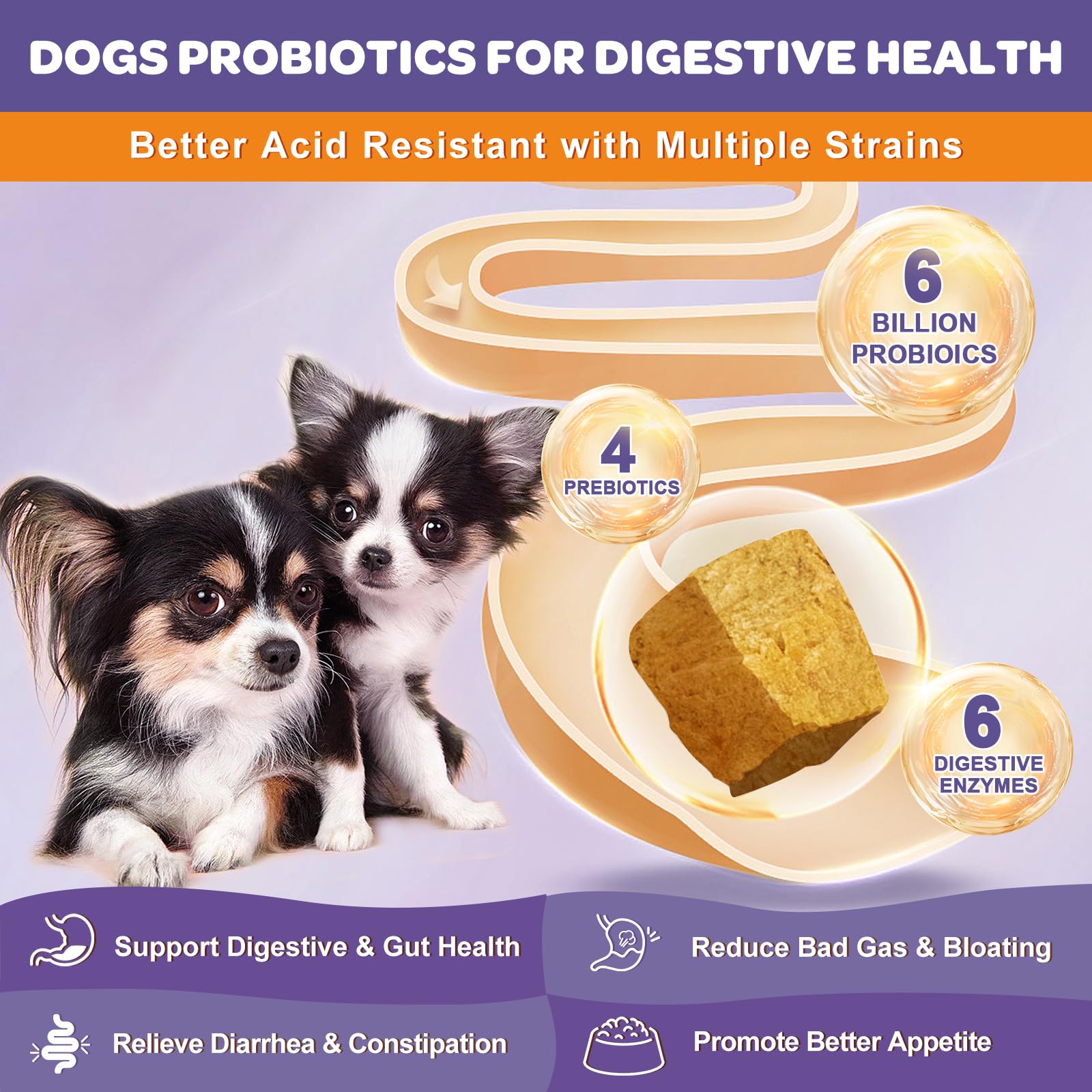 Probiotics for Dogs Soft Chews and Freeze Dried