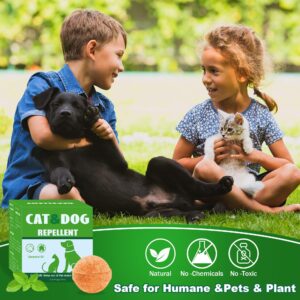 12 Pack Cat and Dog Repellent Balls - Natural Peppermint Oil Cat Deterrent for Indoor/Outdoor Use, Keeps Stray Cats Digging Dogs Away from Yard, Lawn, Garden, and Furniture - Safe for Pets and Family