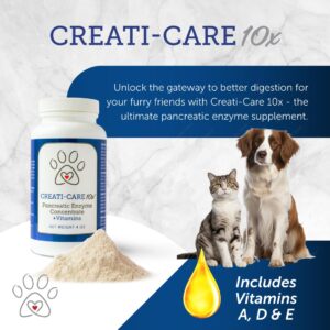 Pancreatic Enzyme for Dogs - Creati-Care 10x Dog Digestive Enzymes Powder with Vitamins Restore Normal Weight, Supports Pancreatin Issues Relieves Digestive Stress - 12 oz