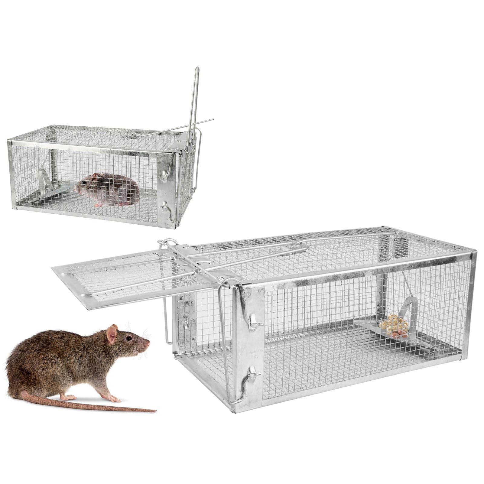 TeqHome Humane Rat Trap, Small 1-Door Live Chipmunk Trap That Work for Indoor and Outdoor, Easy to Catch and Release Live Animal Trap Mouse Cage Trap for Rodents Mice Voles Hamsters, Reusable & Metal