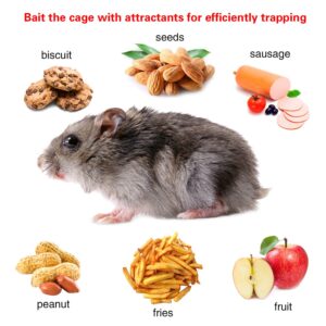 TeqHome Humane Rat Trap, Small 1-Door Live Chipmunk Trap That Work for Indoor and Outdoor, Easy to Catch and Release Live Animal Trap Mouse Cage Trap for Rodents Mice Voles Hamsters, Reusable & Metal