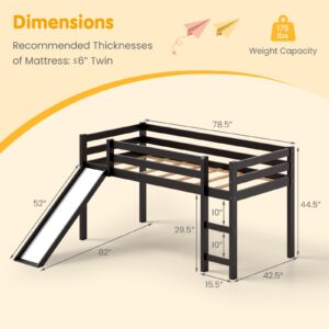 IFANNY Loft Bed with Slide, Solid Wood Low Loft Bed Twin Size with Storage and Ladder, Wooden Bedframe with Safety Guardrails, Twin Loft Bed for Kids Boys Girls Teens, No Box Spring Needed (Espresso)