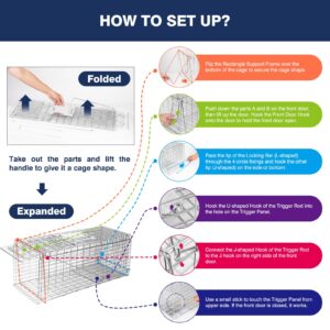 Animal Trap Cage, 24 Inch Live Traps for Raccoons Heavy Duty, Cat Trap for Stray Cats, Squirrels, Raccoon, Rabbits, Possum, Skunk, Outdoor Small Animal Trap, Humane Catch & Release, Foldable