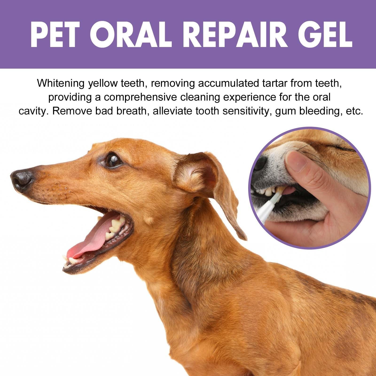 Pet Oral Repair Gel,Pet Oral Restoration Whitening Gel,Pet Oral Restorative Gel, Pet Teeth Cleaning Pen, Eliminate Bad Breath, Pet Teeth Breath Freshener Gel Oral Care (2)