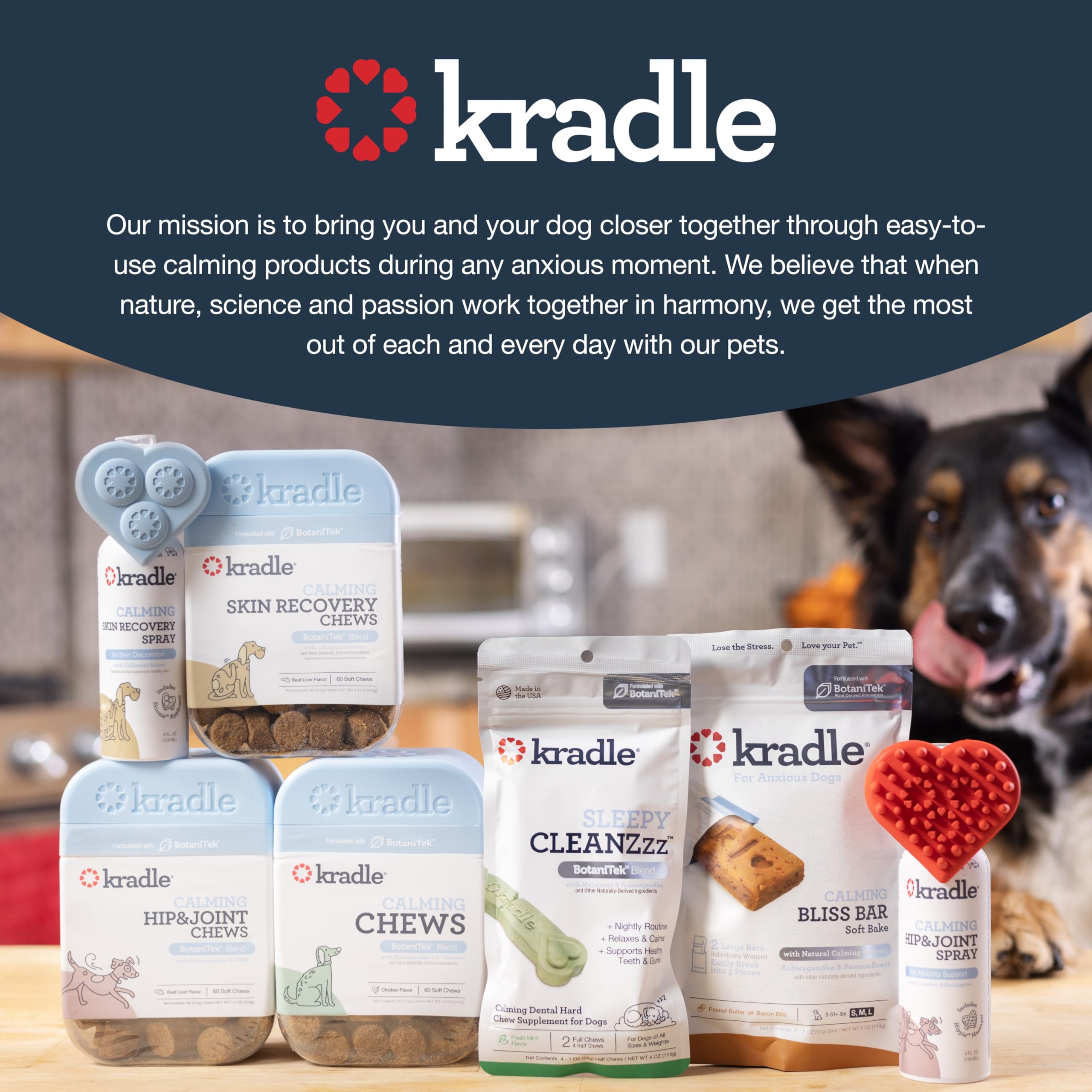 Kradle Daily Skin Recovery Chews - Skin Health Chews & Seasonal Allergy Support for Dogs - Soft Chews with Soothing Ingredients - for All Dog Breed & Sizes - 75 Count Jar