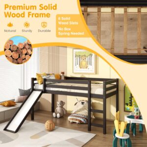 IFANNY Loft Bed with Slide, Solid Wood Low Loft Bed Twin Size with Storage and Ladder, Wooden Bedframe with Safety Guardrails, Twin Loft Bed for Kids Boys Girls Teens, No Box Spring Needed (Espresso)