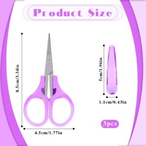 2Pcs Small Scissors All Purpose Craft Scissors Stainless Steel Mini Detail Craft Scissors Precision Straight Fine Tips Design for Paper Cutting,Scrapbooking