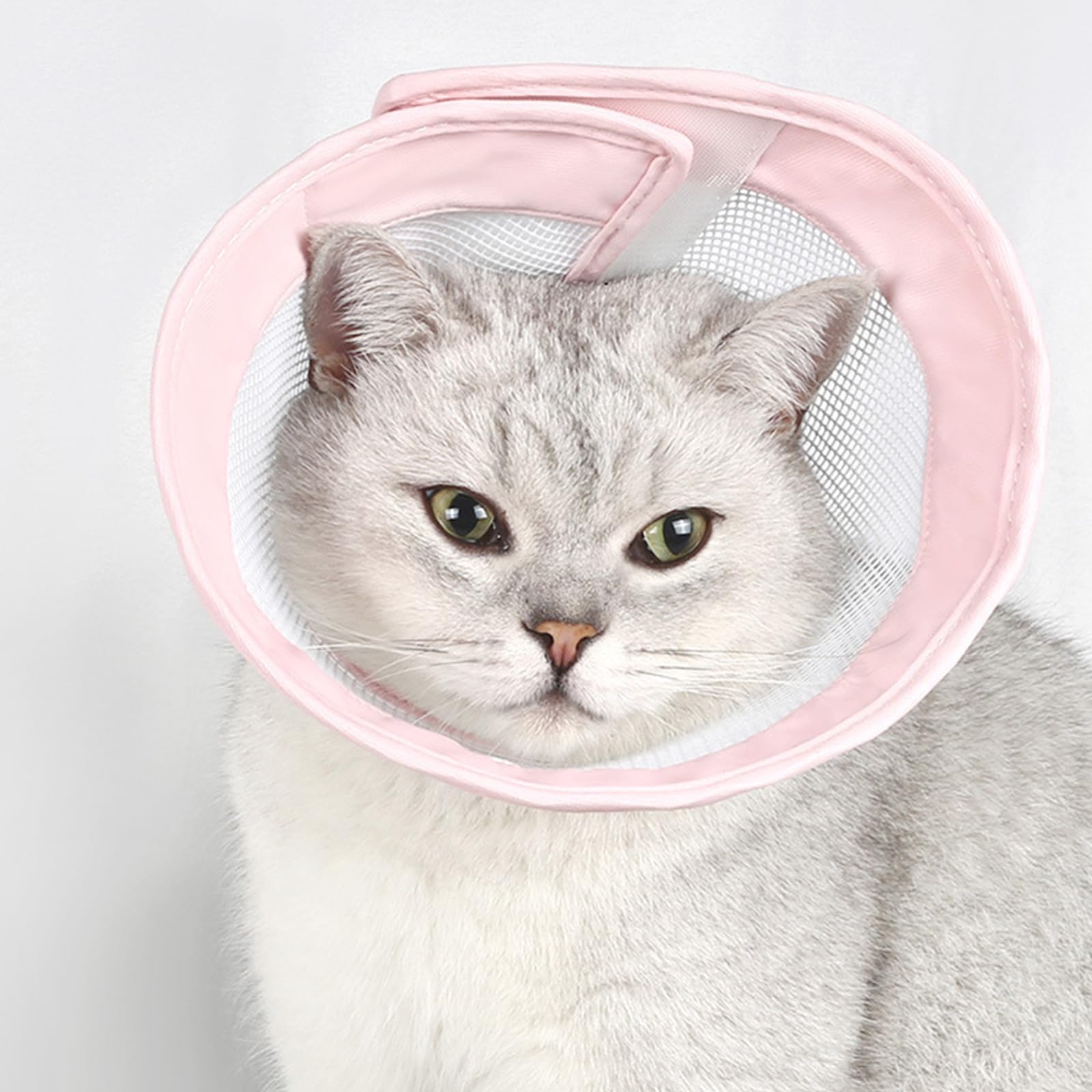 Ldbuejiaja Antiscratch Injury Elizabethan Collar for Cats Dogs Collar Pet Wound Recovery Licking Cats Collar