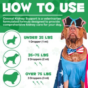 Liver Support for Dogs, Liver and Kidney Support for Dogs with Natural Herbal Extract Helps Balance Dogs Liver & Kidneys Health, Pet Supplement - Liver Support Drops to Improve Dog Energy - 2 fl.oz