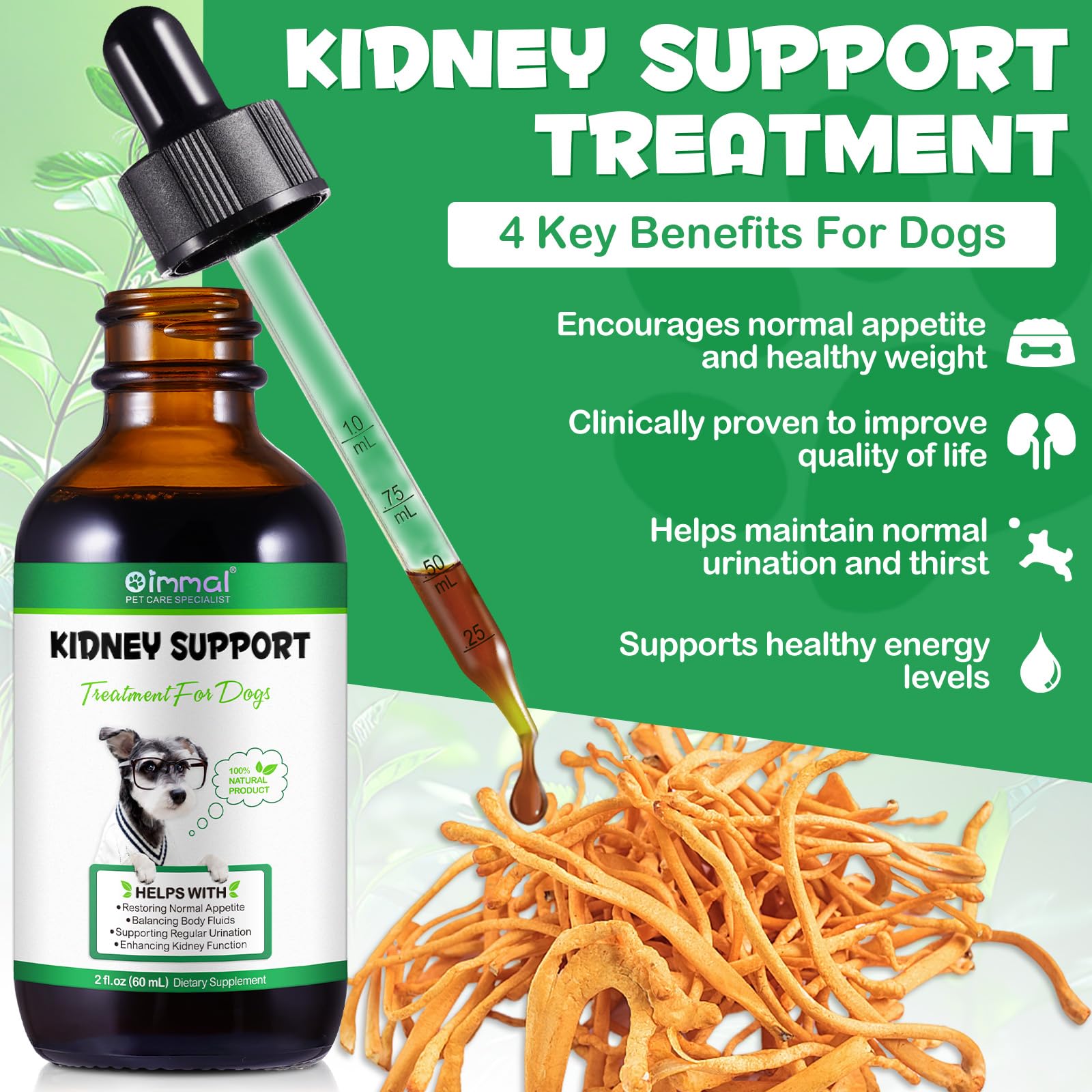 Liver Support for Dogs, Liver and Kidney Support for Dogs with Natural Herbal Extract Helps Balance Dogs Liver & Kidneys Health, Pet Supplement - Liver Support Drops to Improve Dog Energy - 2 fl.oz