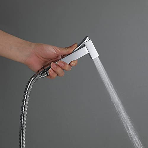 MINJING Bidet Sprayer Kit for Toilet Chrome Wall Mounted Bidet Attachment Faucet Sprayer for Toilet Multifunction for Pet Bath/Personal Hygiene/Bathroom/Closestool,Spring Hose