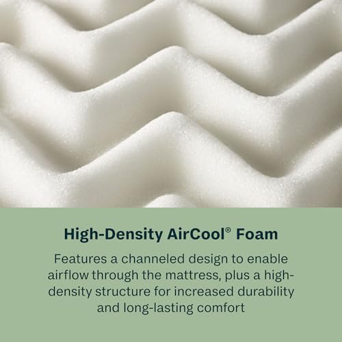 Beauty Sleep Midnight Slumber Firm 10" Queen Foam Mattress in a Box, Cooling, Breathable, and Pressure Relieving - 100 Night Trial, CertiPUR-US Certified and 10 Year Limited Warranty