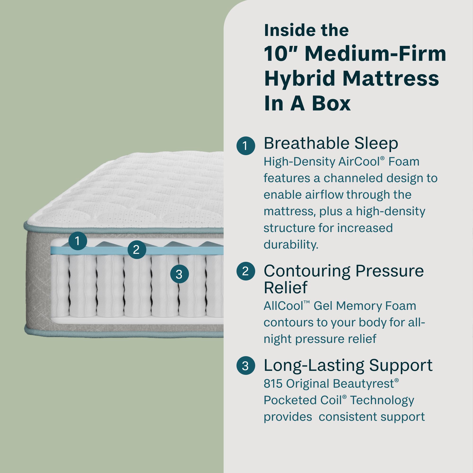 Beauty Sleep Midnight Slumber Medium Firm 10" Queen Hybrid Mattress in a Box, Cooling, Breathable, and Pressure Relieving - 100 Night Trial, CertiPUR-US Certified and 10 Year Limited Warranty