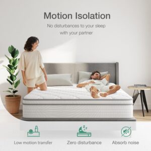 Novilla King Size Mattress 12 inch, Hybrid King Mattress in a Box with Pocket Spring & Comfortable Foam, King Hybrid Mattress for Back Pain Relief & Support, Motion Isolation, Certipur-Us Certified