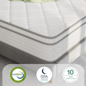 Novilla Queen Mattress in a Box, 12 inch Queen Size Mattress with Independent Spring & Comfortable Foam, Queen Hybrid Mattress for Back Pain Relief & Support, Motion Isolation, Certipur-Us Certified