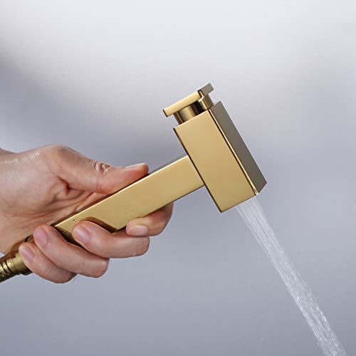 MINJING Handheld Bidet Sprayer Kit Gold Single Handle Bidet Tap Sprayer Wall Mounted Cold Water Sprayer with Button Toilet Bidet Douche Spray, Double Outlet