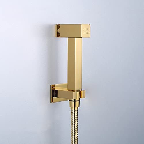 MINJING Handheld Bidet Sprayer Kit Gold Single Handle Bidet Tap Sprayer Wall Mounted Cold Water Sprayer with Button Toilet Bidet Douche Spray, Double Outlet