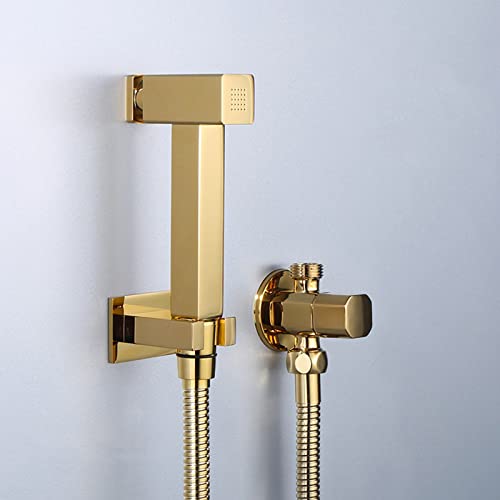 MINJING Handheld Bidet Sprayer Kit Gold Single Handle Bidet Tap Sprayer Wall Mounted Cold Water Sprayer with Button Toilet Bidet Douche Spray, Double Outlet