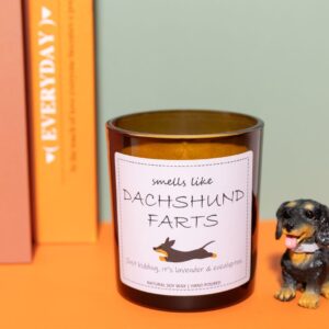 Dachshund Gifts, Dachshund Gifts for Women, Weiner Dog Gifts for Women, Dachshund Candle, Weenie Dog Gifts, Wiener Dog Gifts, Weiner Dog Gifts, Dachshund Decor