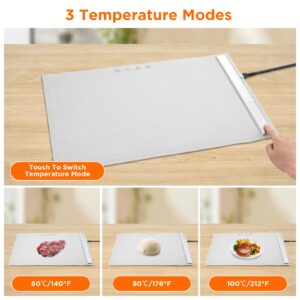 Electric Warming Tray with 3 Adjustable Temperature for Buffets Party, Fast Heating, Silicone Foldable Food Warmer for Family Gatherings, Holidays, Parties, Everyday Use, Hot Plate