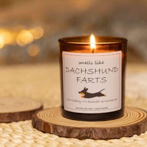 Dachshund Gifts, Dachshund Gifts for Women, Weiner Dog Gifts for Women, Dachshund Candle, Weenie Dog Gifts, Wiener Dog Gifts, Weiner Dog Gifts, Dachshund Decor