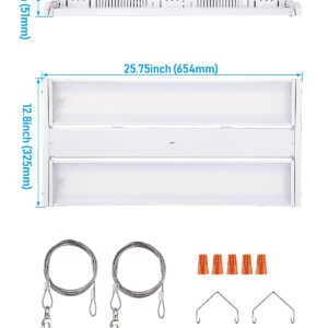 LEONLITE LED Linear High Bay Light 2FT, 220W 29700LM Adjustable Tilt Linear High Bay Shop Light, 135LM/W, 120-277V, 0-10V Dimmable Commercial Hanging Linear Shop Lights for Garage, 5000K Daylight, ETL