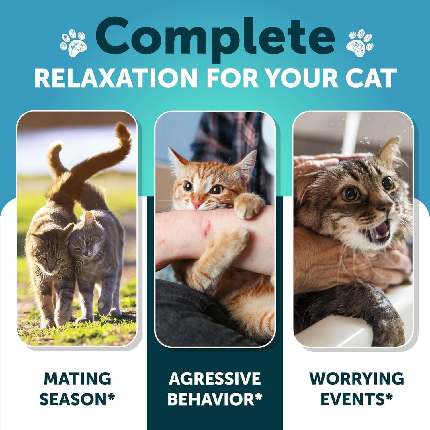 Hemp Cat Calming Treats - Cat Anxiety Relief - Storm Anxiety, Сomposure, Grooming, Separation, Travel - Calming Aid for Cats with Hemp Oil, L-Theanine - Cat Melatonin - Made in USA - 135 Soft Chews